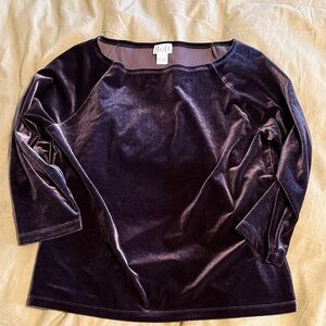 LOFT Women's Rich Velvet Blouse - Deep Purple